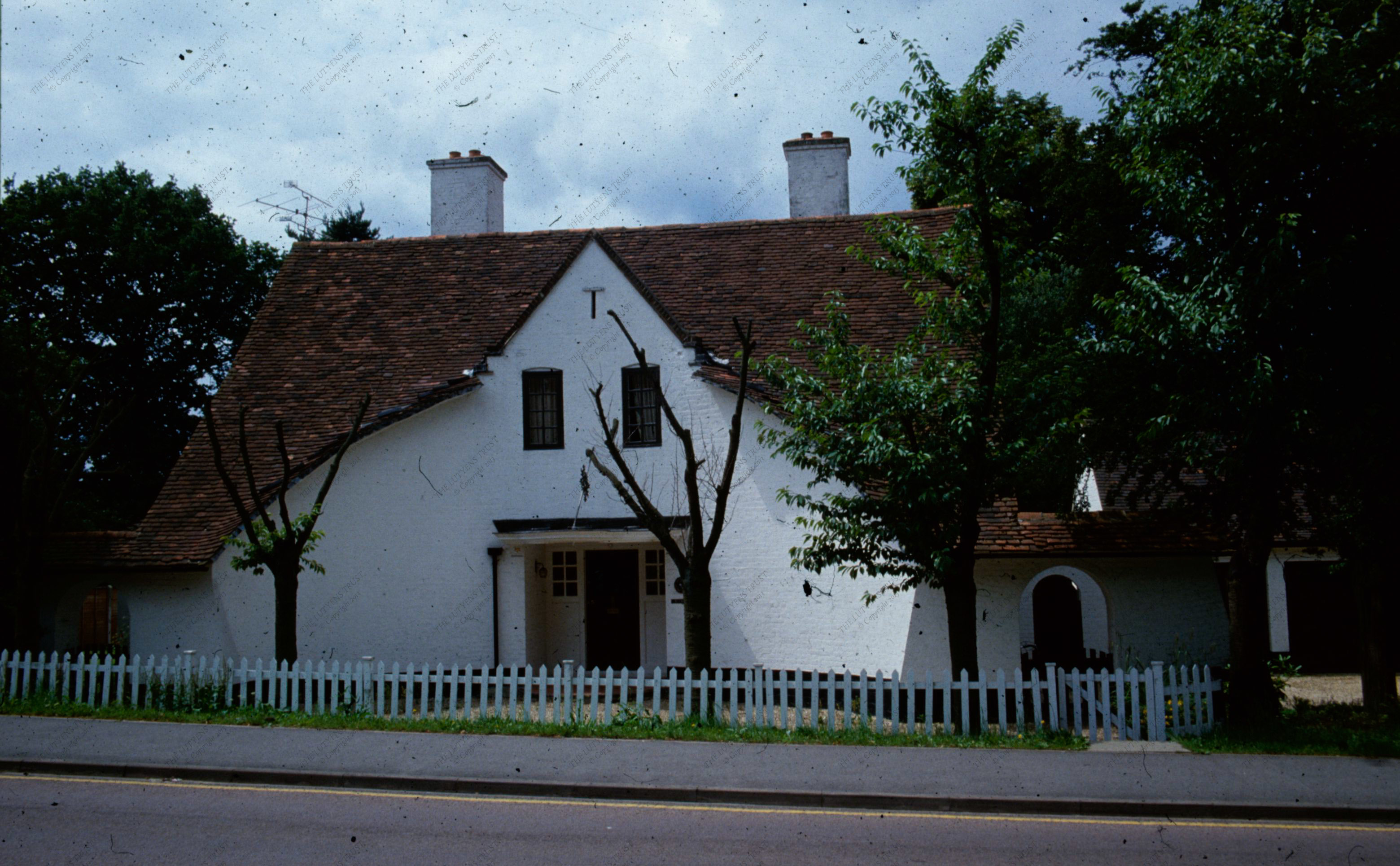 Witwood