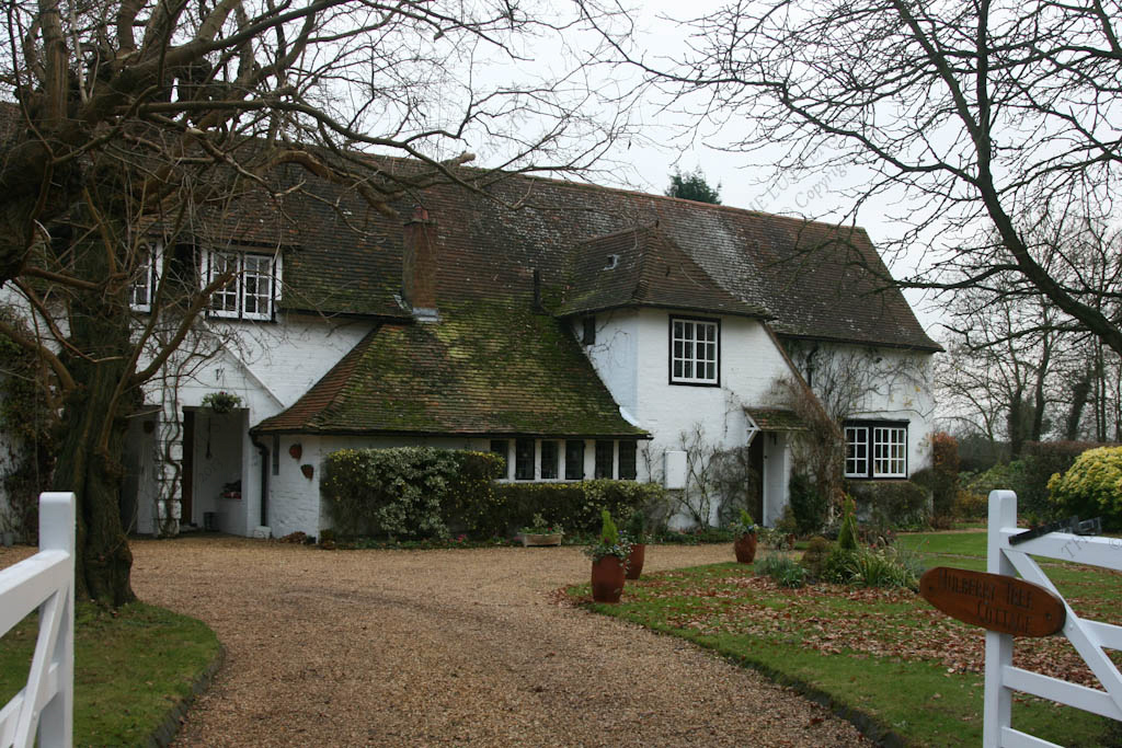Mulberry Tree Cottage